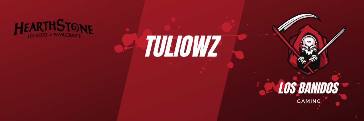 tuliowz's profile banner image