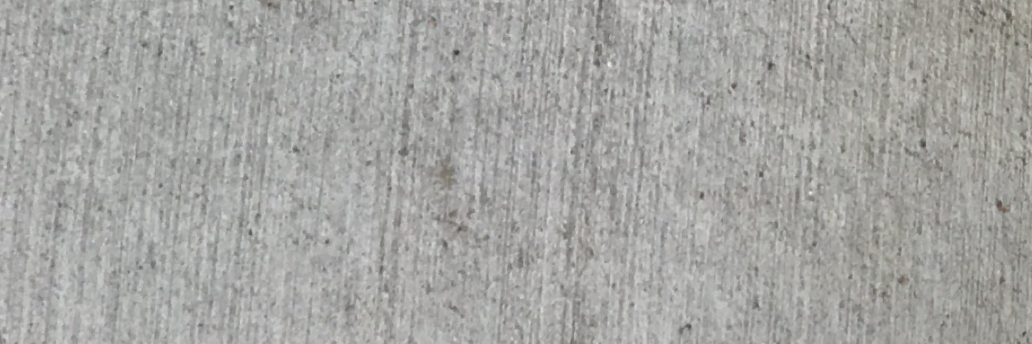 TreeHorseMouse's profile banner image