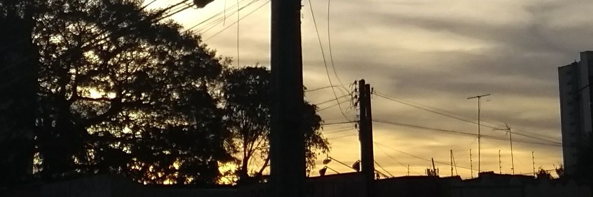 wendorneles's profile banner image