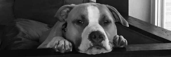 mariadixon Profile Banner