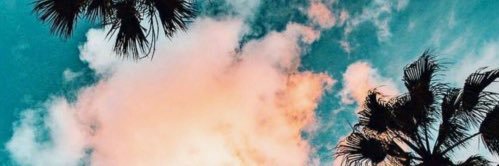 vanessafd92's profile banner image