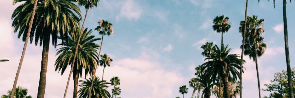 508ashley's profile banner image