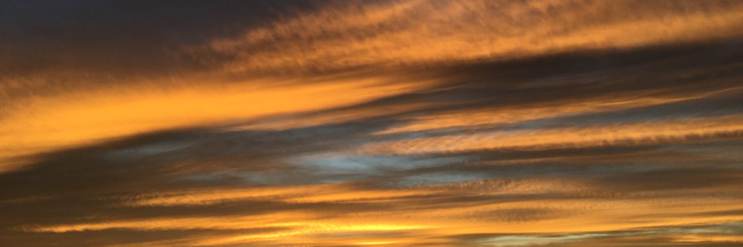 XochitlFlorees's profile banner image