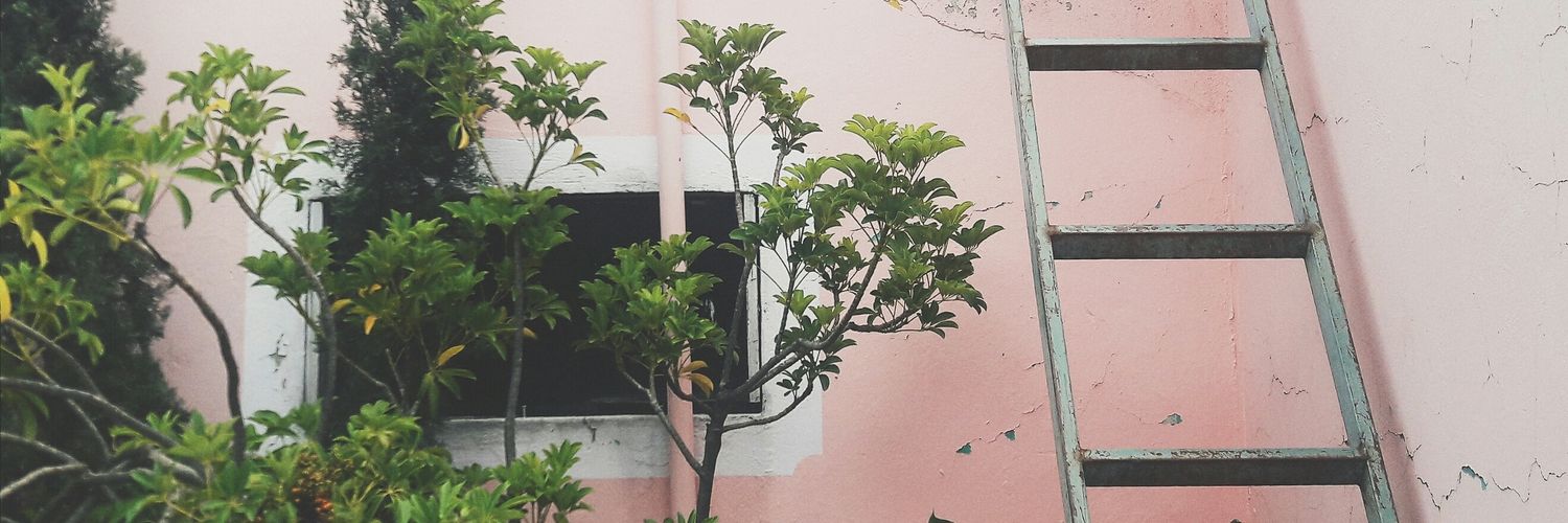 FerLBadillo's profile banner image