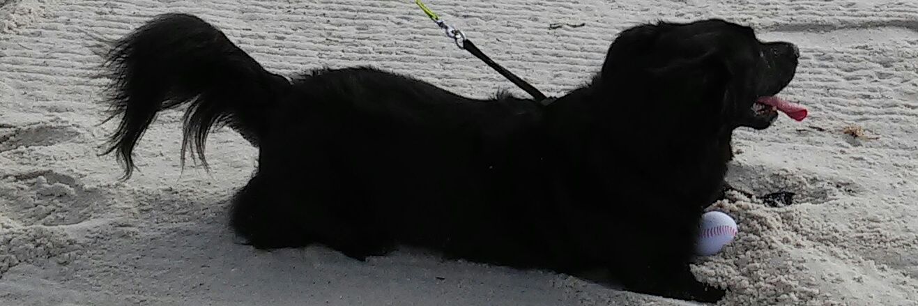 t1571's profile banner image