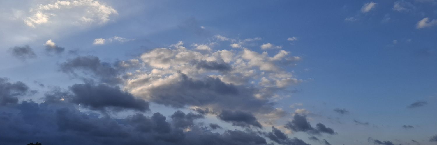 zeeenela's profile banner image