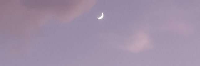 LovelyyBee_'s profile banner image