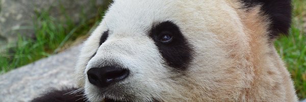 blevitt93 Profile Banner