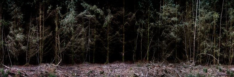 DeerMeadowRadio's profile banner image