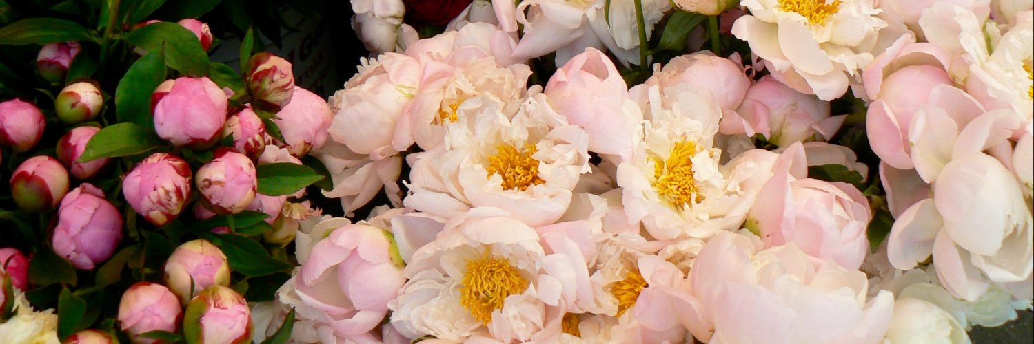 Patricia Durán banner