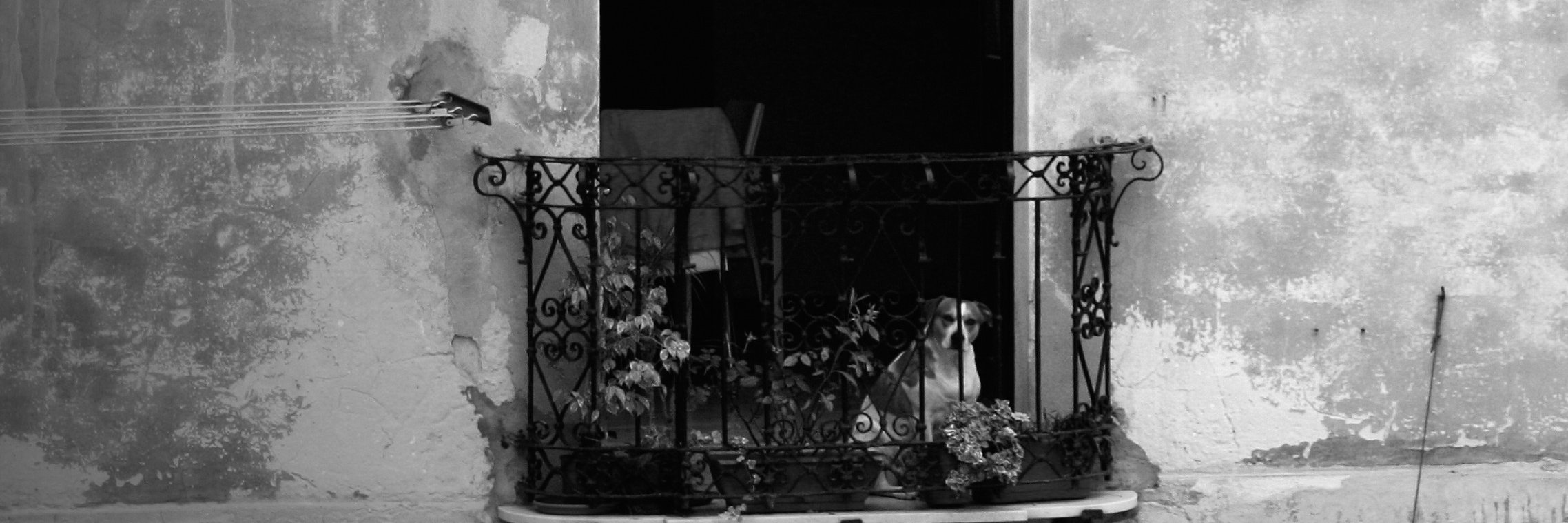 MikeWyr's profile banner image