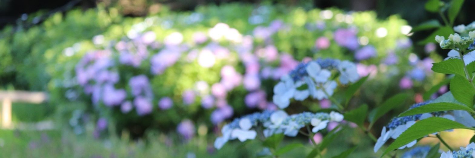 r_vyj's profile banner image
