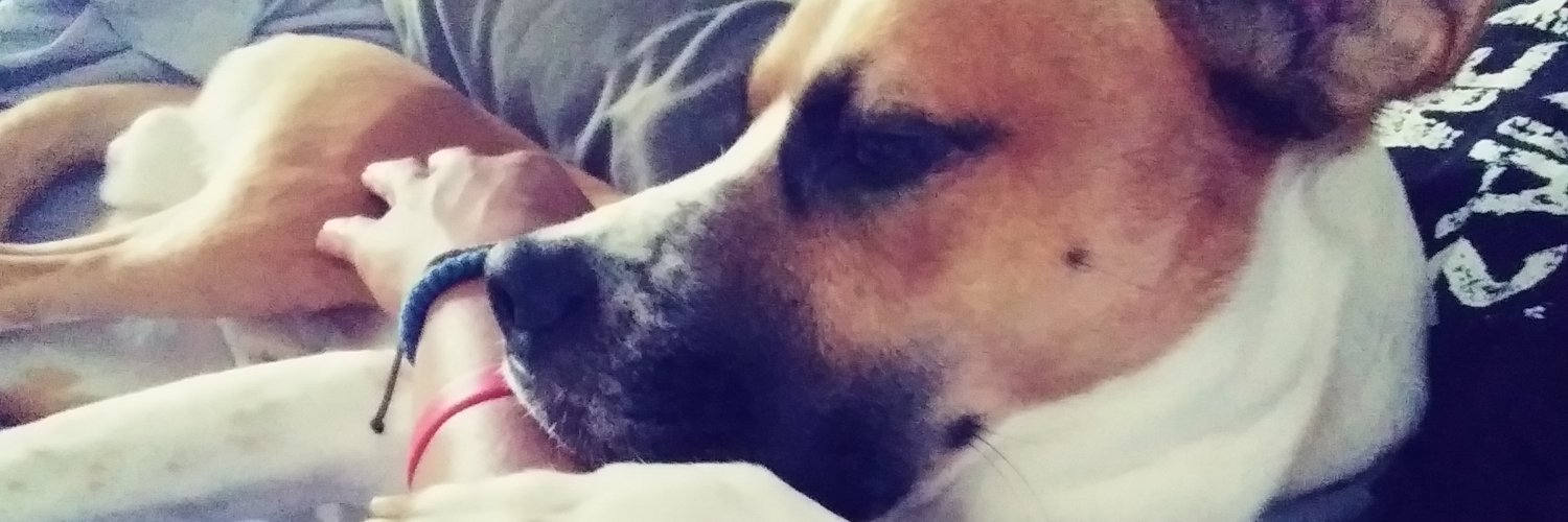 red_dajokester's profile banner image