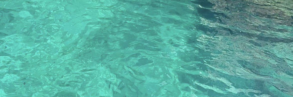 damlagunsu's profile banner image