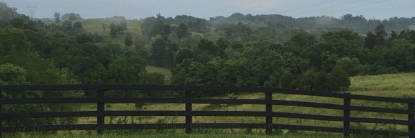 TannaNicely Profile Banner