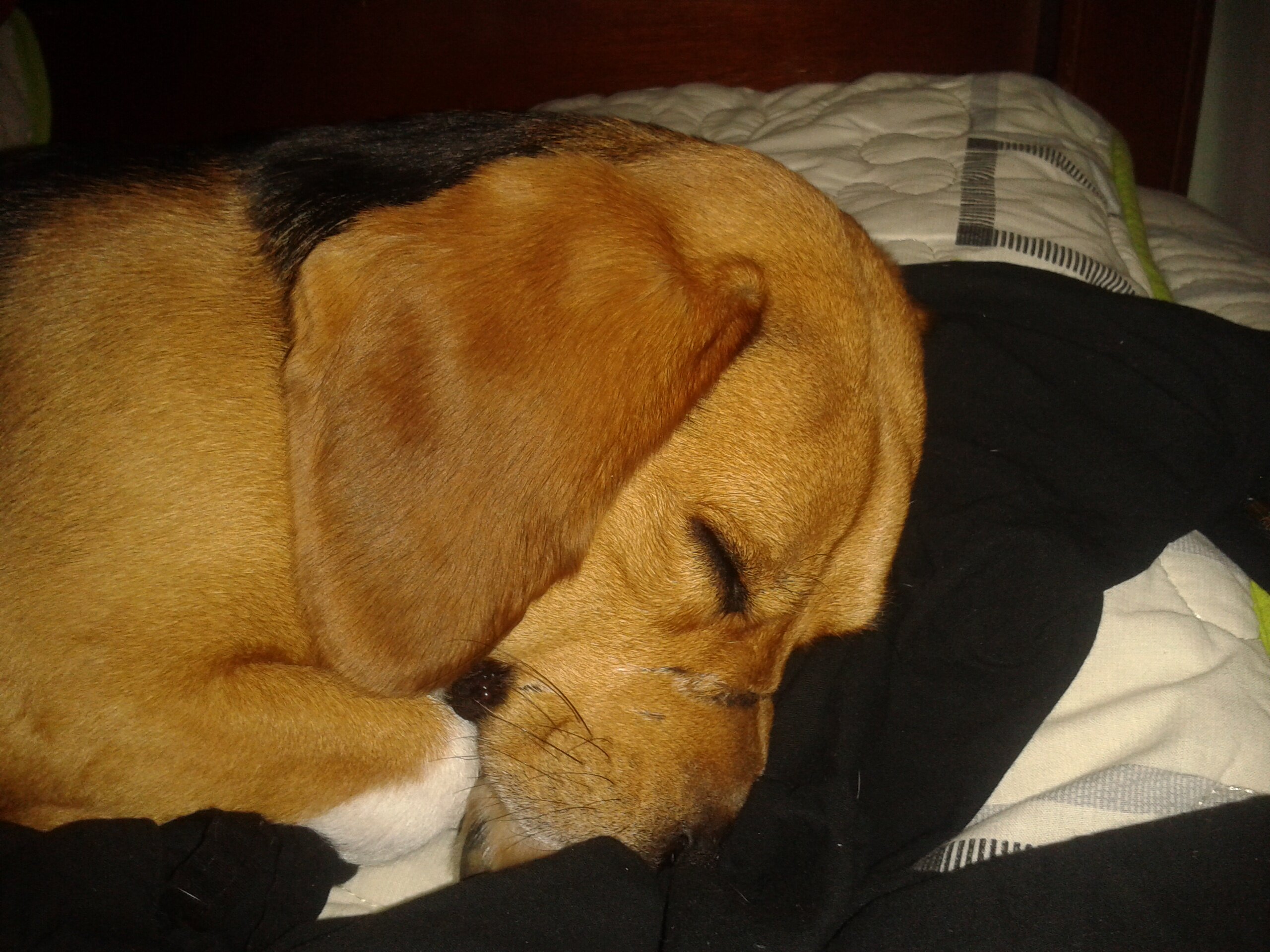 paramo_sergio's profile banner image