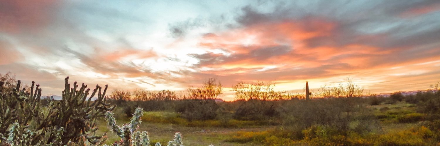 adventurerig's profile banner image