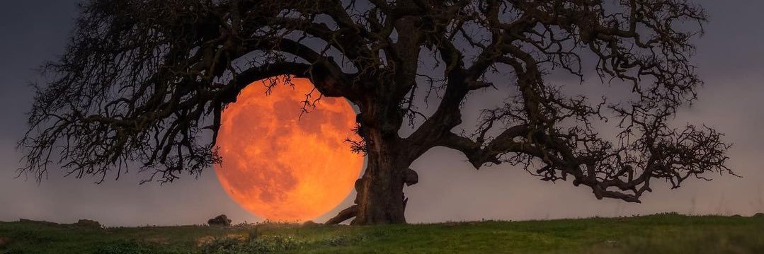 lara_aredes's profile banner image
