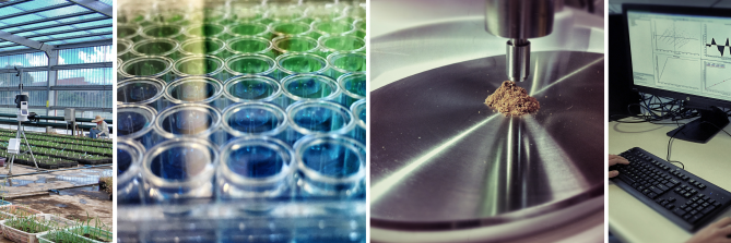 RapidPhenotype's profile banner image