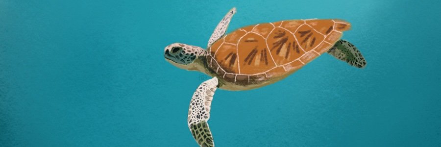 peachonaplane's profile banner image