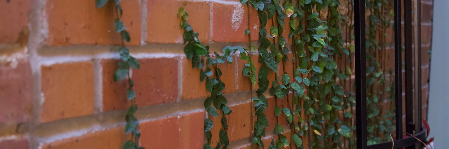 beautypendleton's profile banner image
