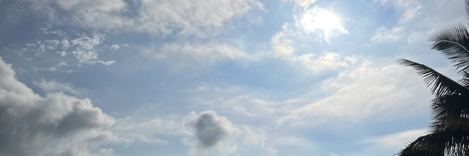 dayanamrx's profile banner image