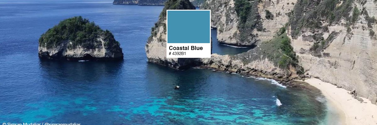 WWF Coral Triangle banner