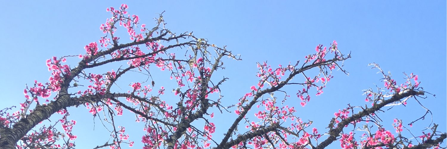 omeriko83's profile banner image
