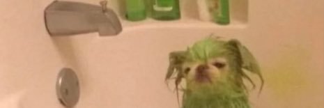 _ banner