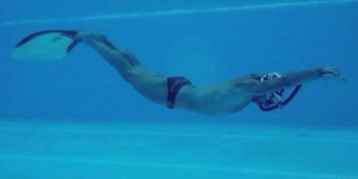 figinistefano's profile banner image