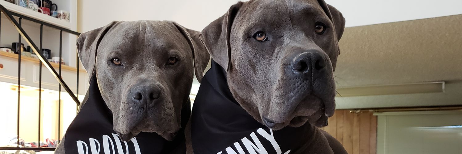 aubsRN's profile banner image