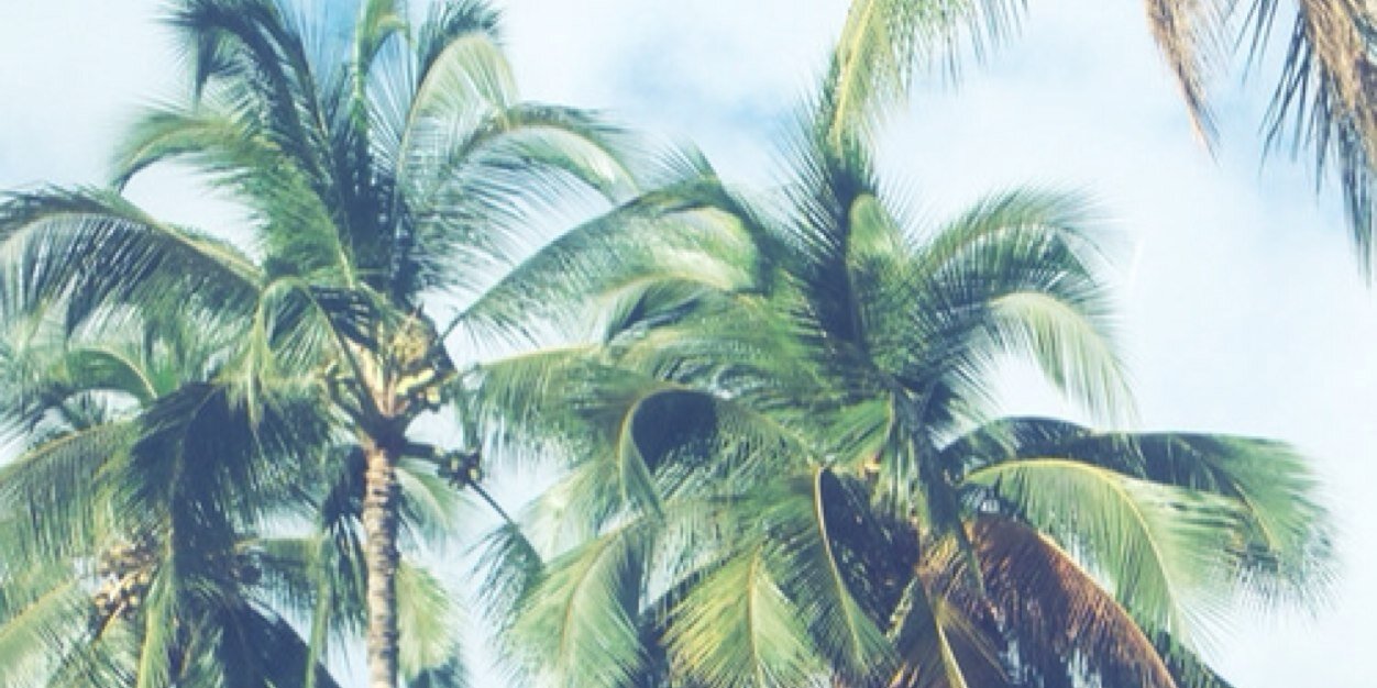 NiallerCrew's profile banner image
