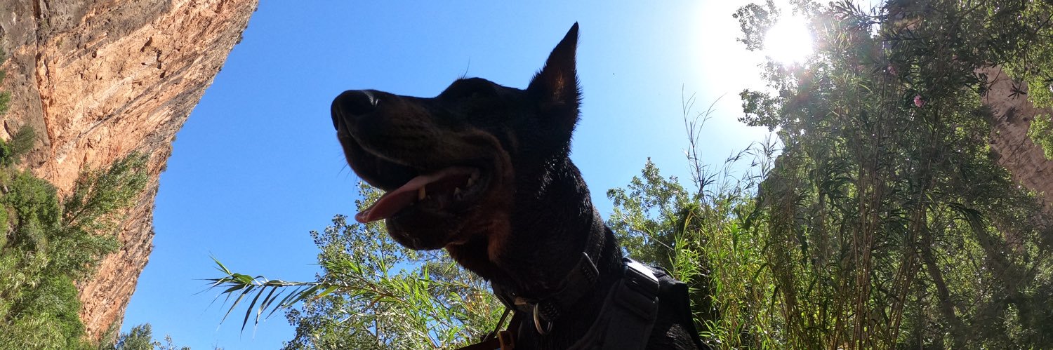 Picorro23's profile banner image