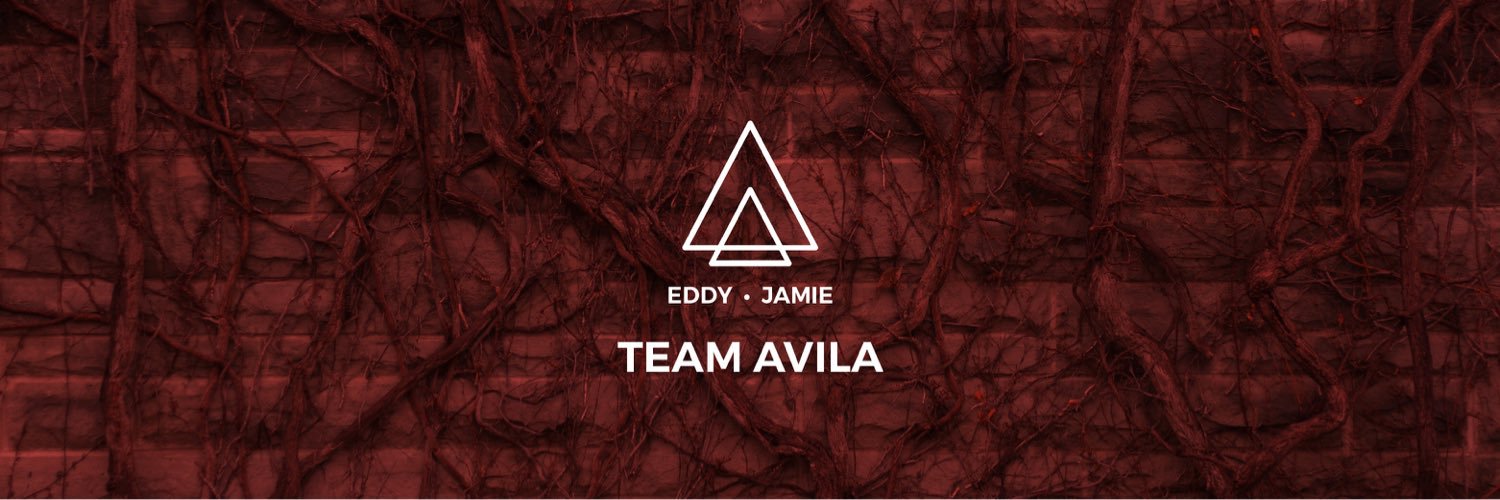 VoteTeamAvila's profile banner image