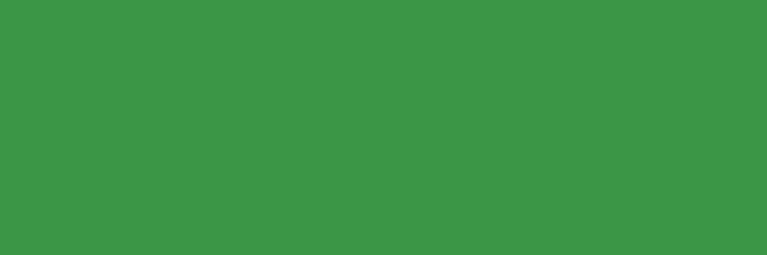 NiagaraVegFest's profile banner image