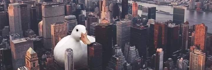 maickdossantos's profile banner image