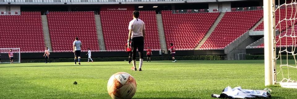 pincherodri's profile banner image