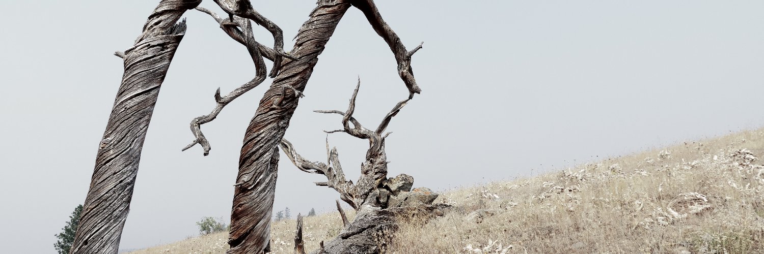 TheRedFisher1's profile banner image