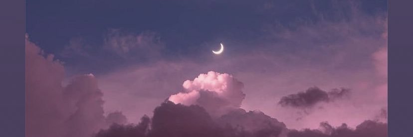 charrrlena's profile banner image