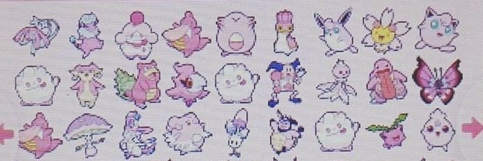 BitchesLovePKMN's profile banner image