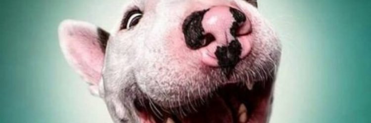 brendaaakellly's profile banner image