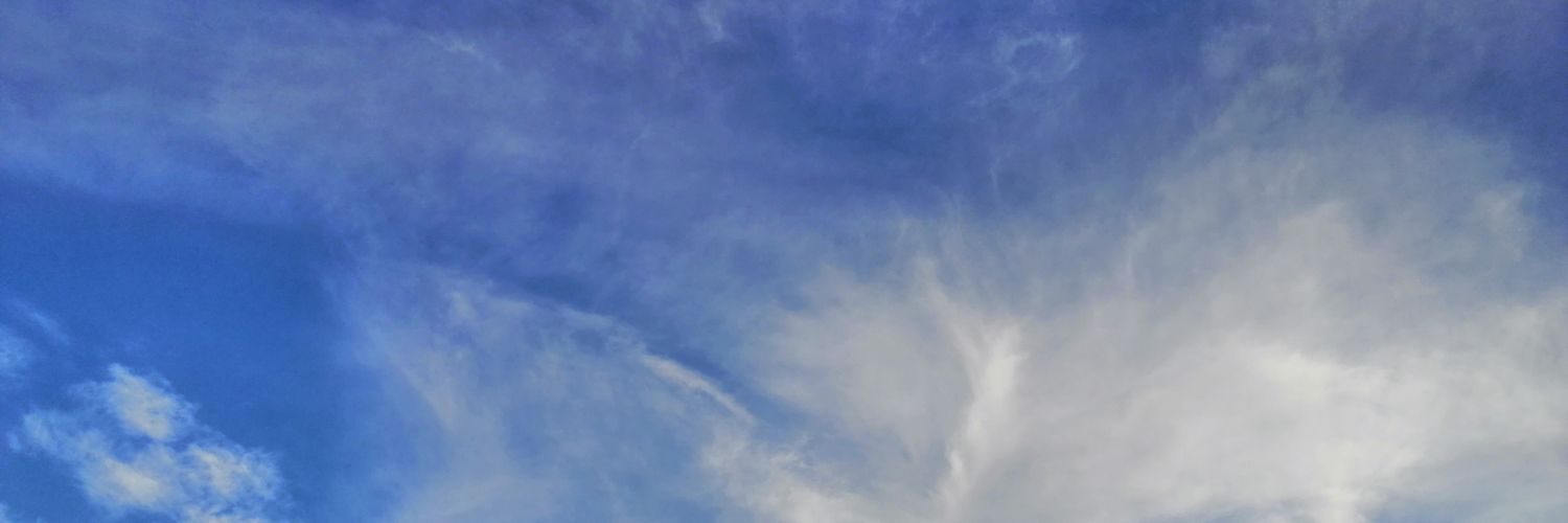 pedrozu91's profile banner image