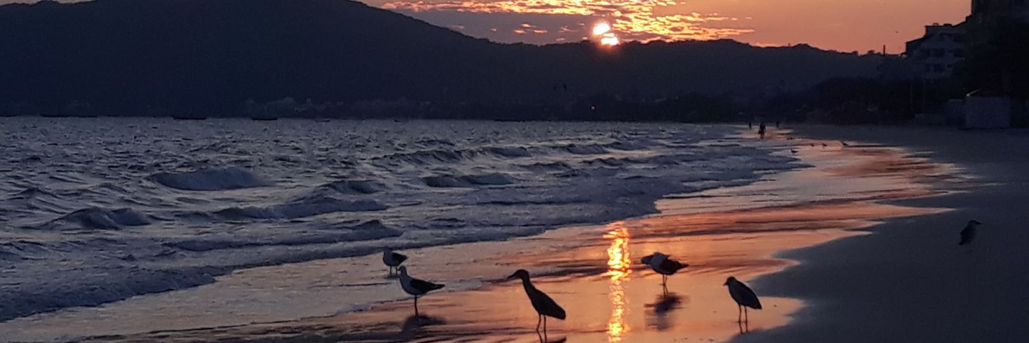 Mau_foto's profile banner image
