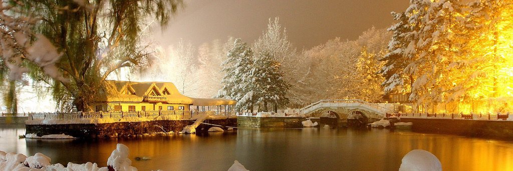 İsmail Cingöz banner