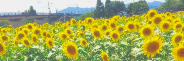 s__hmtn's profile banner image
