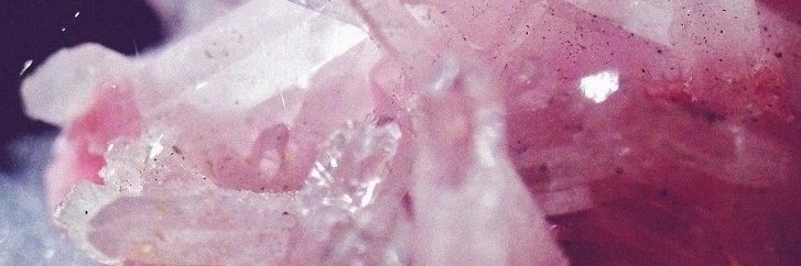 DaynaInglis's profile banner image