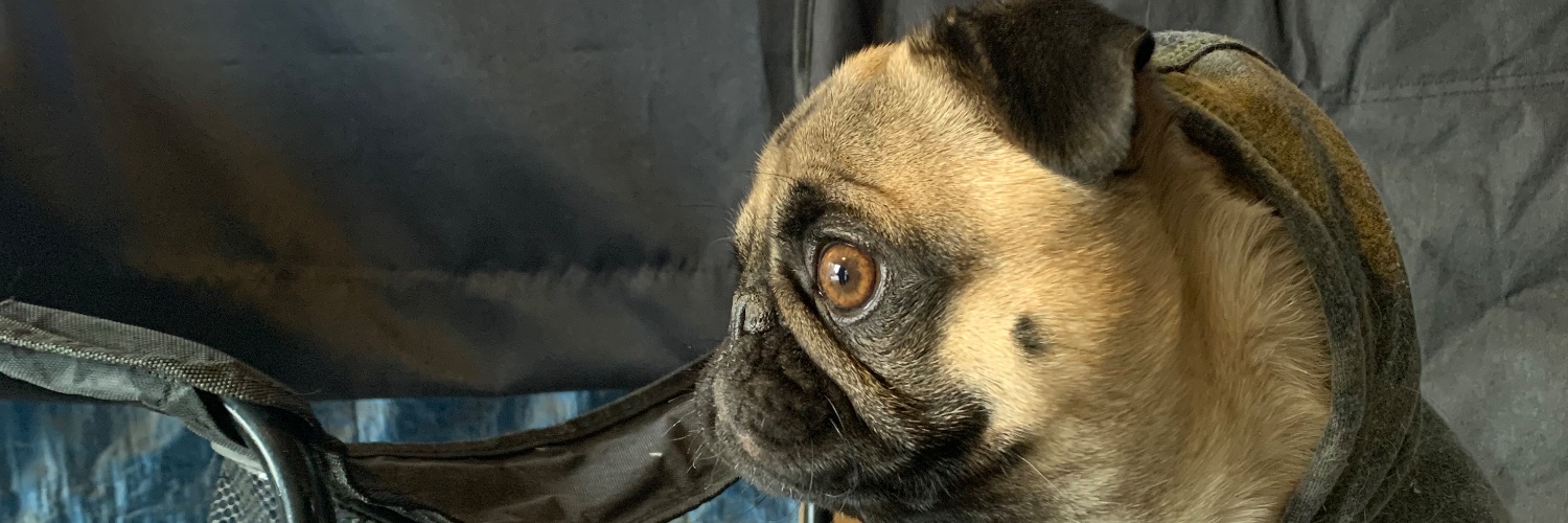 theDanTack's profile banner image