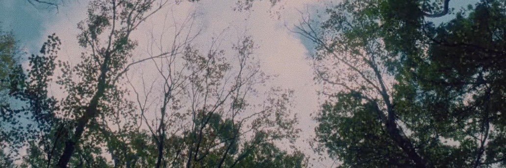 stilestew's profile banner image