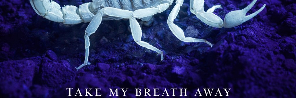 dedbuddy1's profile banner image