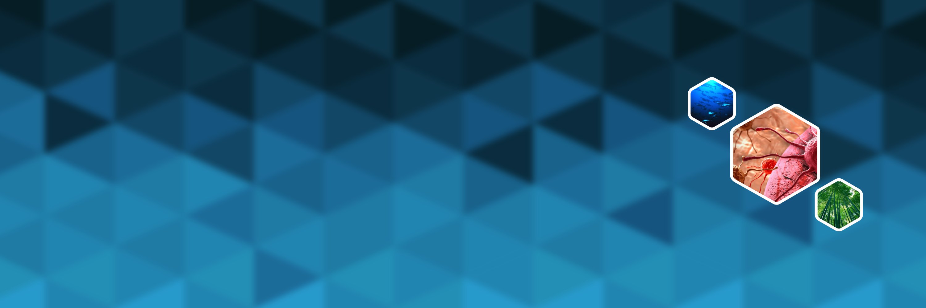 Geometric Biology banner